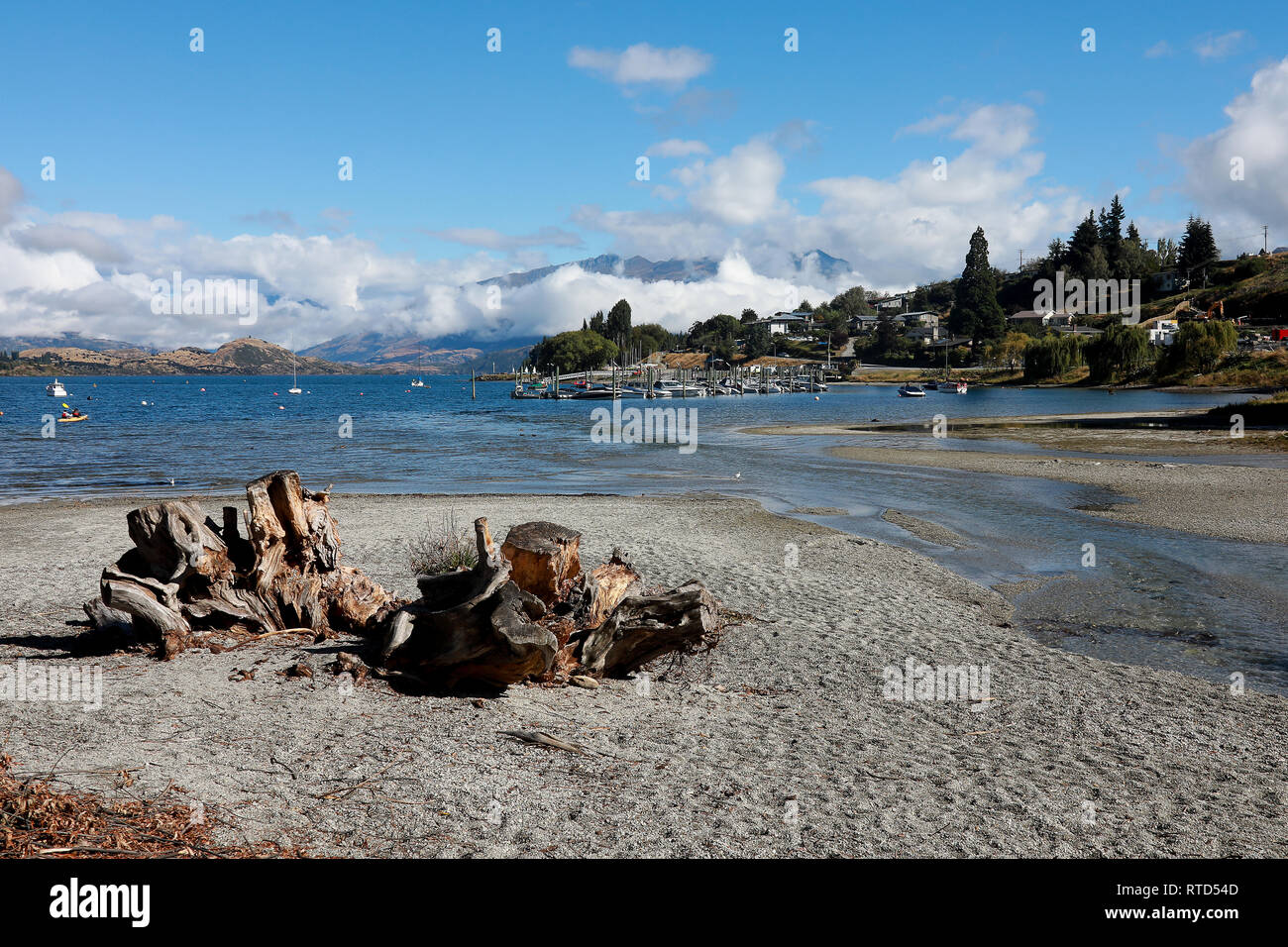 Feeder Stream And Tree Stump On The Pebble Beach Of Lake Wanaka On