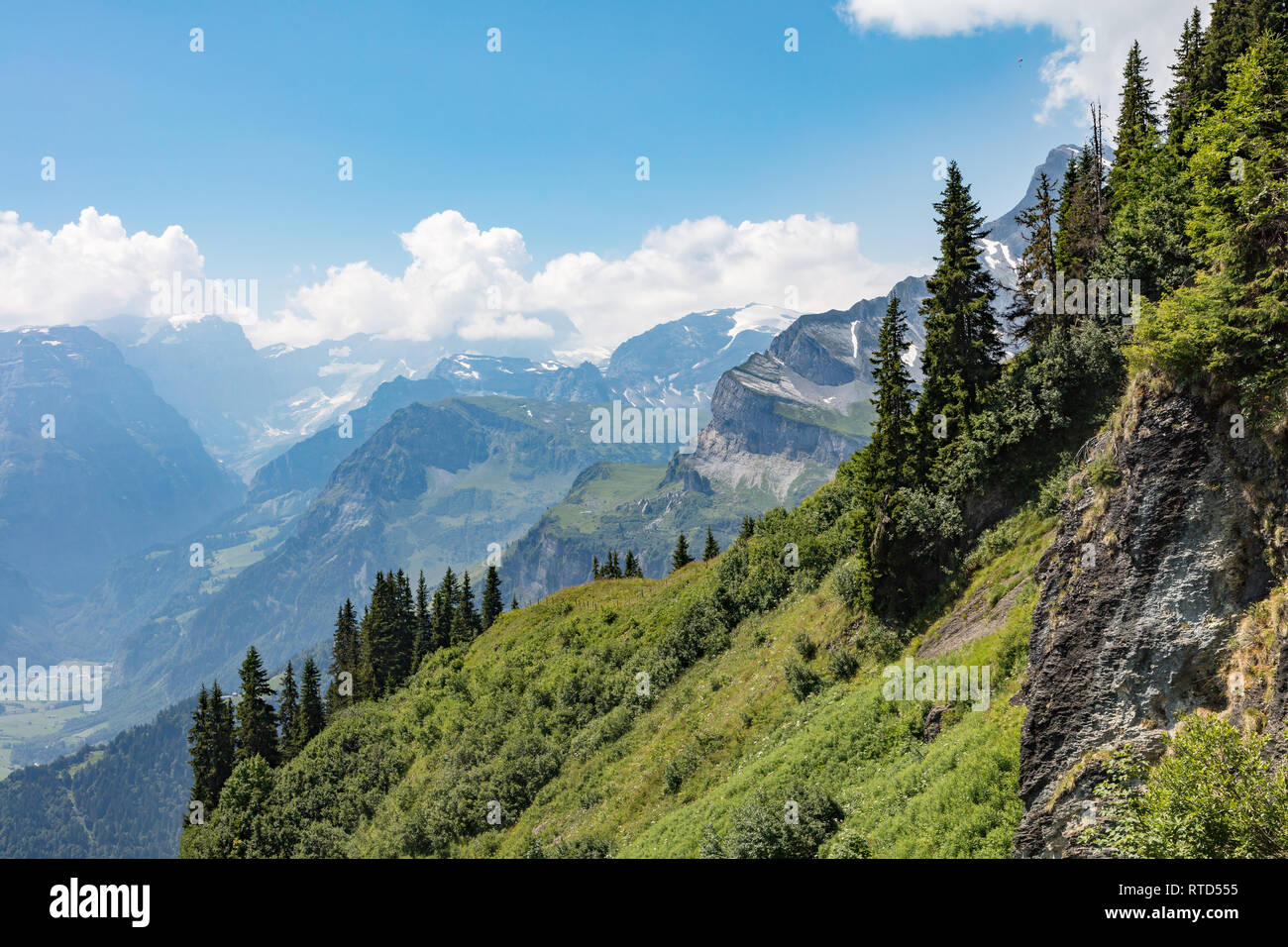 The Swiss Alps Typical Landscape Meadow Trees Mountains And Blue Sky The Swiss Alps Typical Landscape Meadow Trees Mountains And Blue Sky