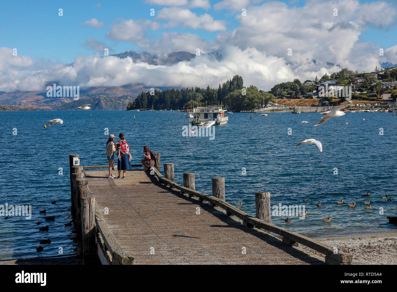 Asian and Western tourists and locals feeding birds on the pebble beach and jetty on summer day in the sunshine Lake Wanaka New Zealand South Island Stock Photo