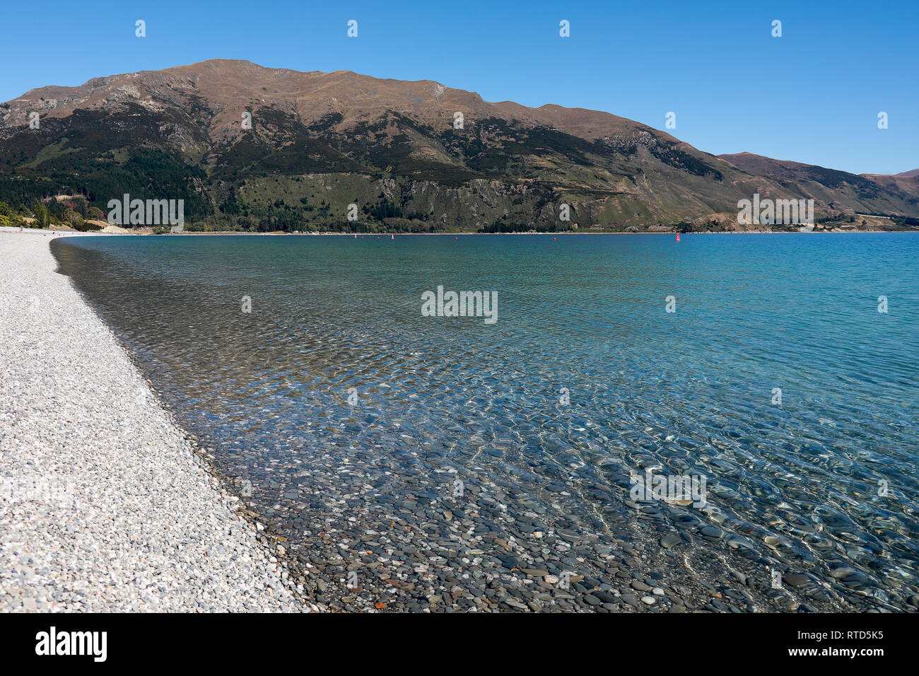 Beautiful Lake Hawea pebble beach with driftwood in summer blue sky clear water pebbles rocks New Zealand South Island Stock Photo