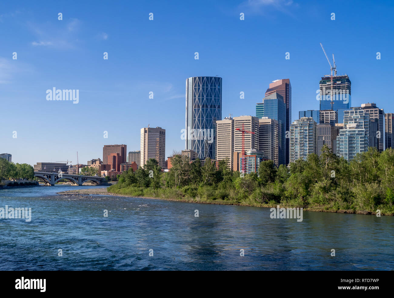 Calgary skyline along the bow river on a beautiful spring morning ...
