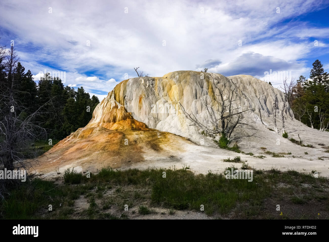 Hot spring on the upper terrace drive loop, Mammoth Hot Springs, Yellowstone Stock Photo