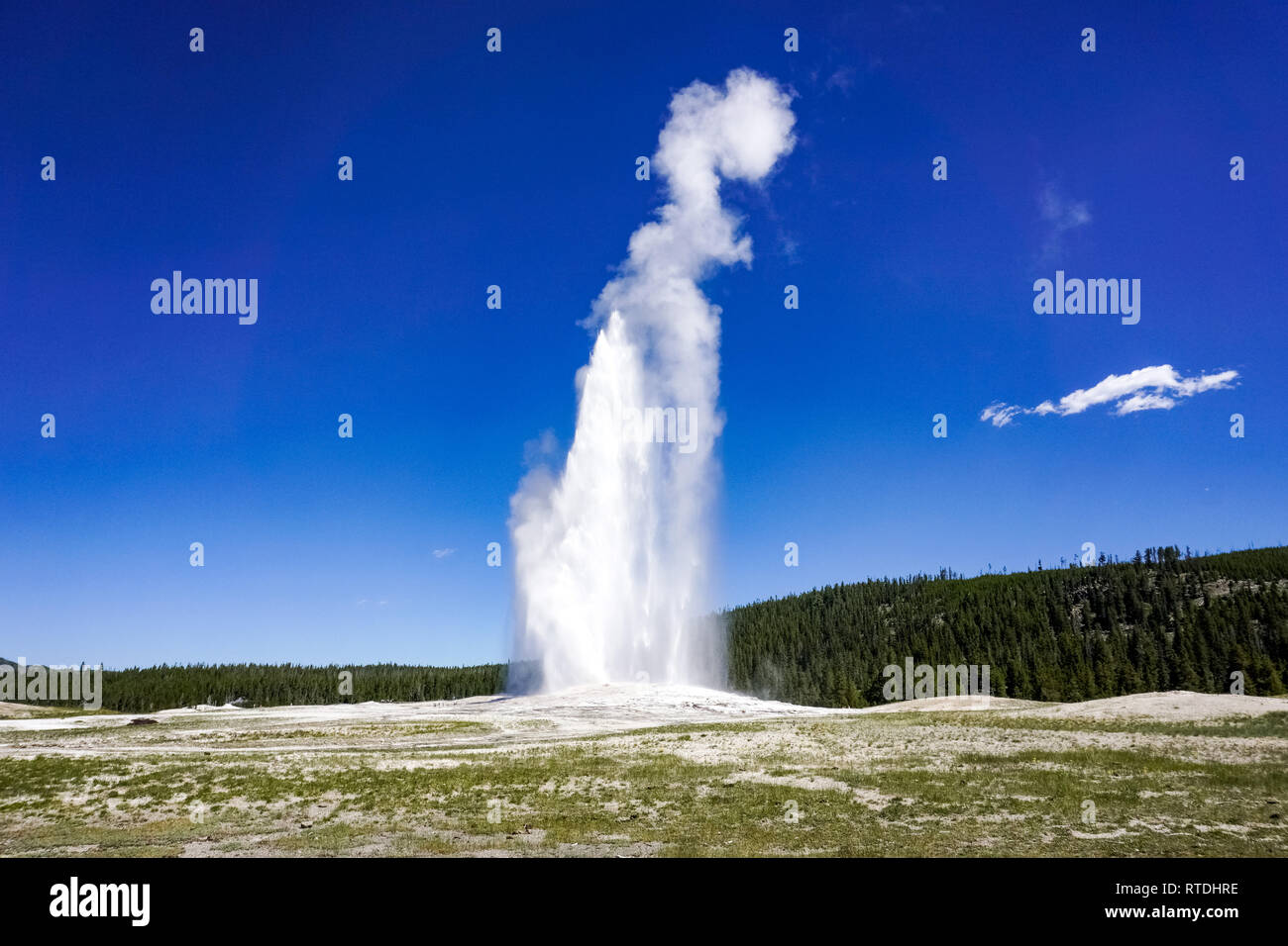 The Old Faithful geyser erupting, Yellowstone National Park Stock Photo ...
