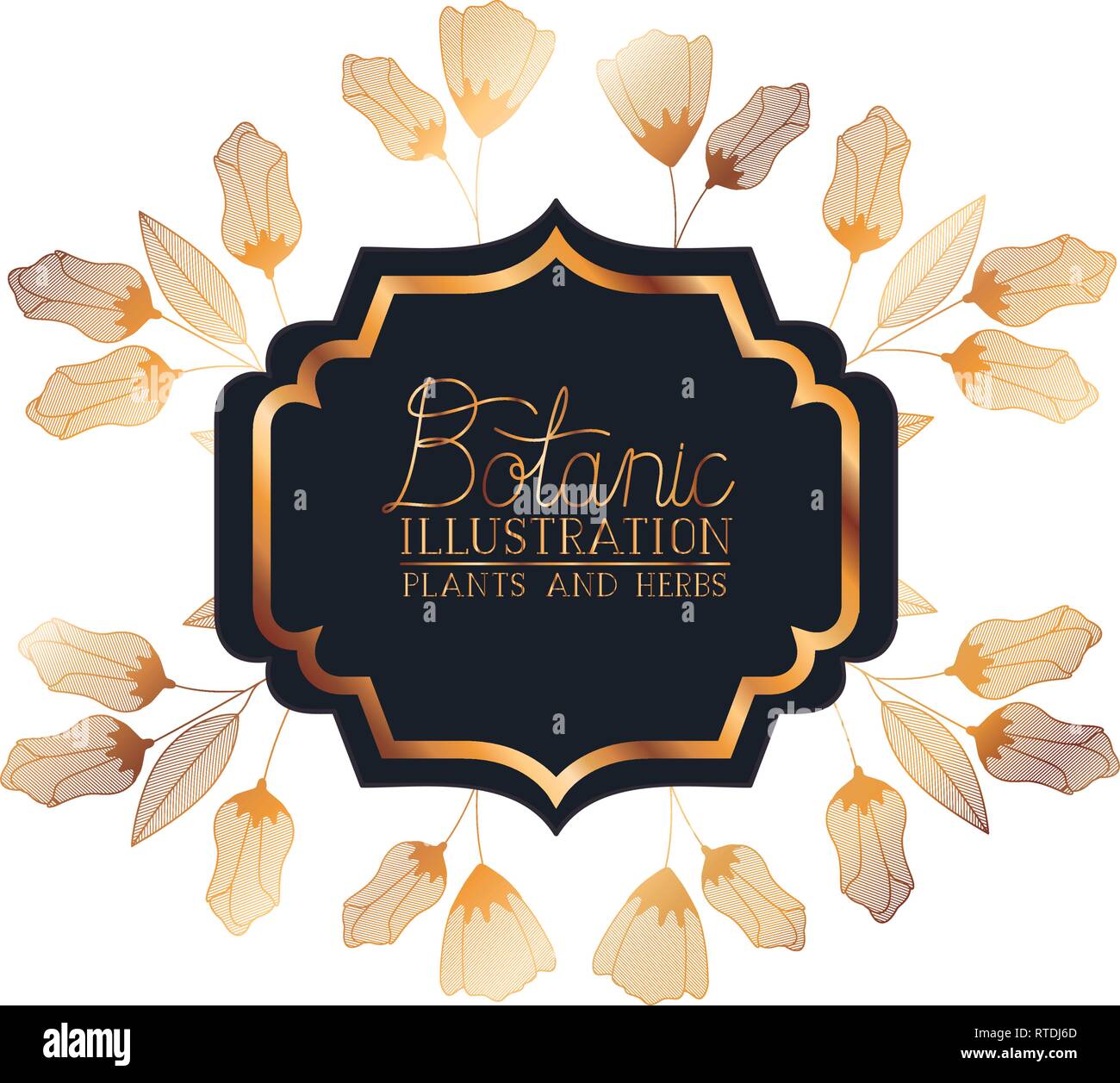 botanic illustration label with plants and herbs vector illustration ...