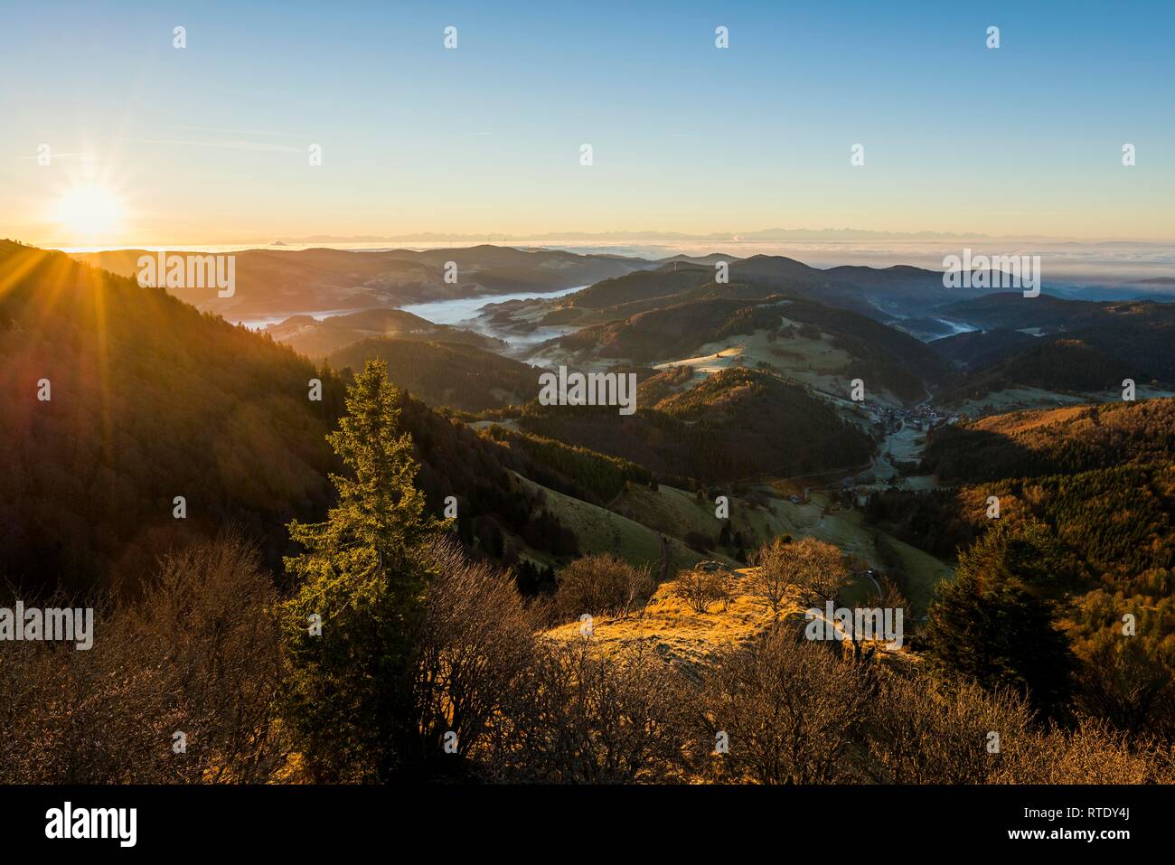 View from Belchen into Wiesental valley, morning mood with fog, Black Forest, Baden-Württemberg, Germany Stock Photo