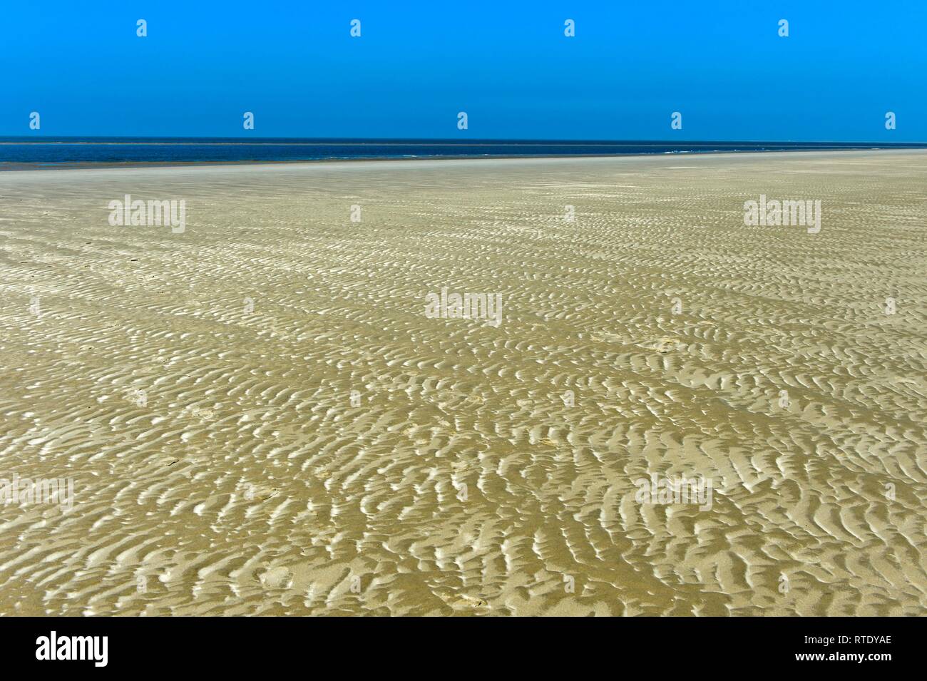 Ripples formed by wind and tidal currents in the sand in the mudflats, Schleswig-Holstein Wadden Sea National Park Stock Photo