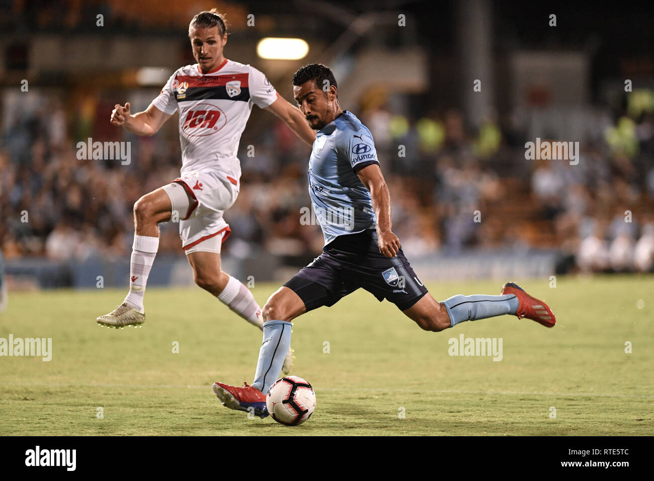 Leichhardt Oval, Leichhardt, Australia. 1st Mar, 2019. A League football Sydney FC versus Adelaide United; Reza Ghoochannejhad of Sydney takes a sht on goal as Michael Marrone of Adelaide United approaches Credit: Action Plus Sports/Alamy Live News Stock Photo