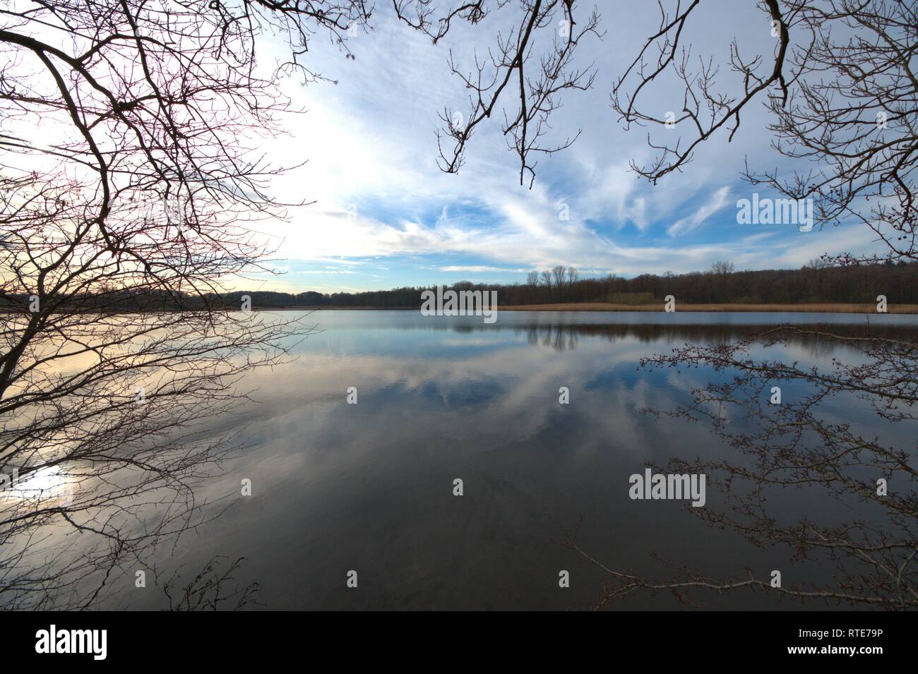 Schleswig, Deutschland. 23rd Feb, 2019. Spatwinter with the feeling of spring at the moat of Gottorf Castle in Schleswig. The sky is reflected in the water. | usage worldwide Credit: dpa/Alamy Live News Stock Photo