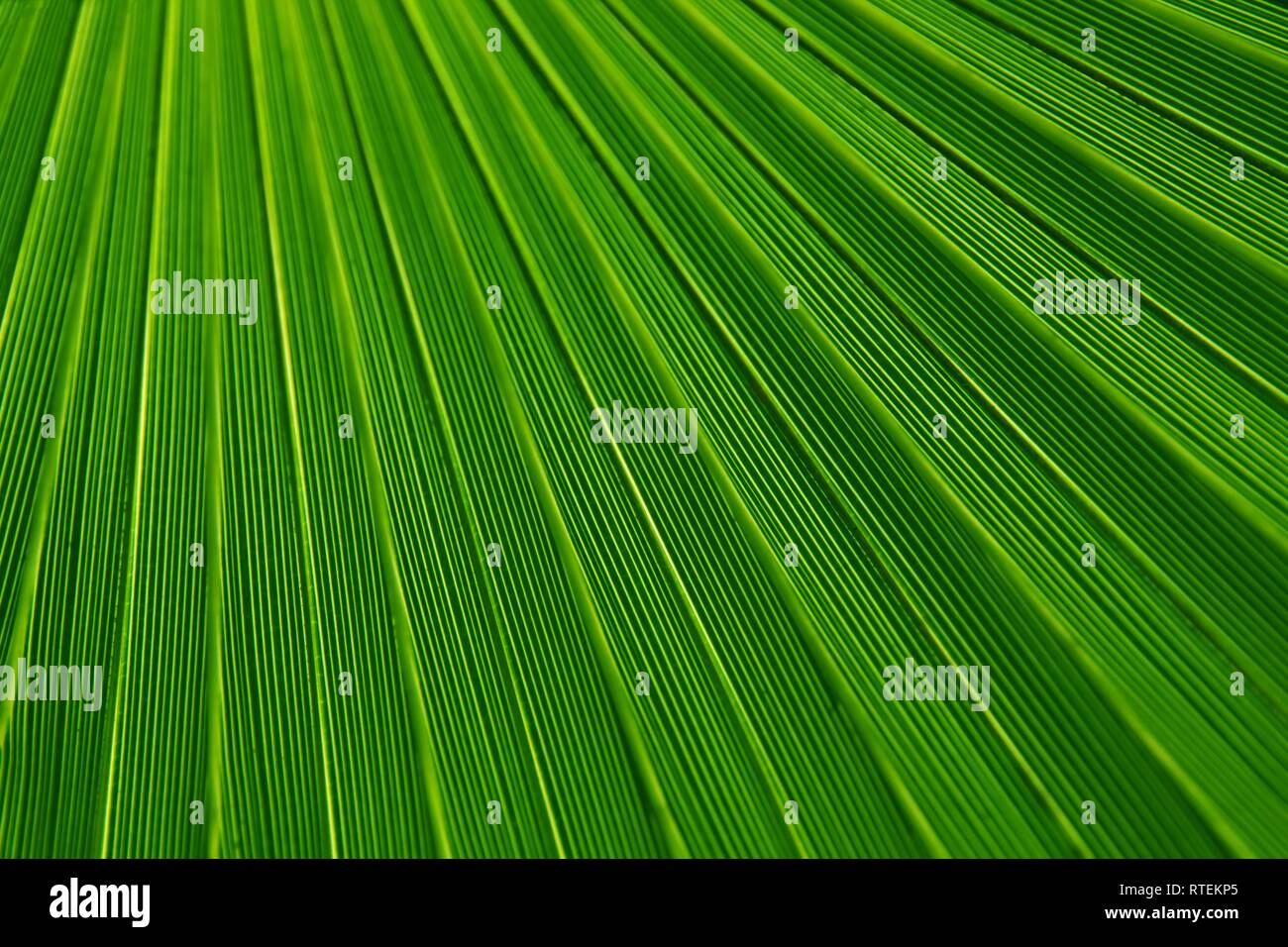 Abstract art beautiful pictures Stock Photo Alamy