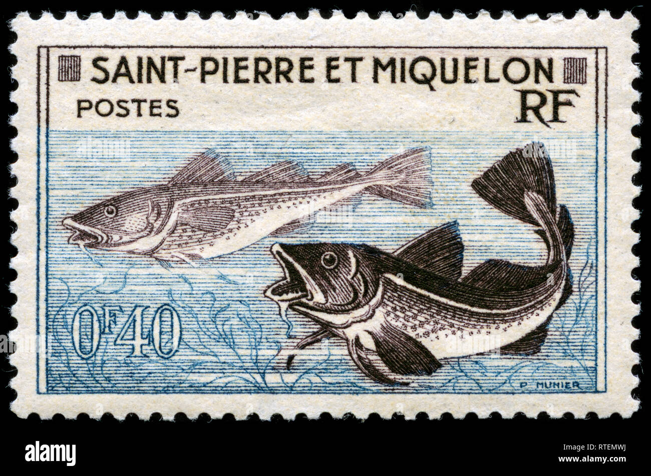Postage stamp from Saint Pierre and Miquelon in the Fisheries series issued in 1957 Stock Photo