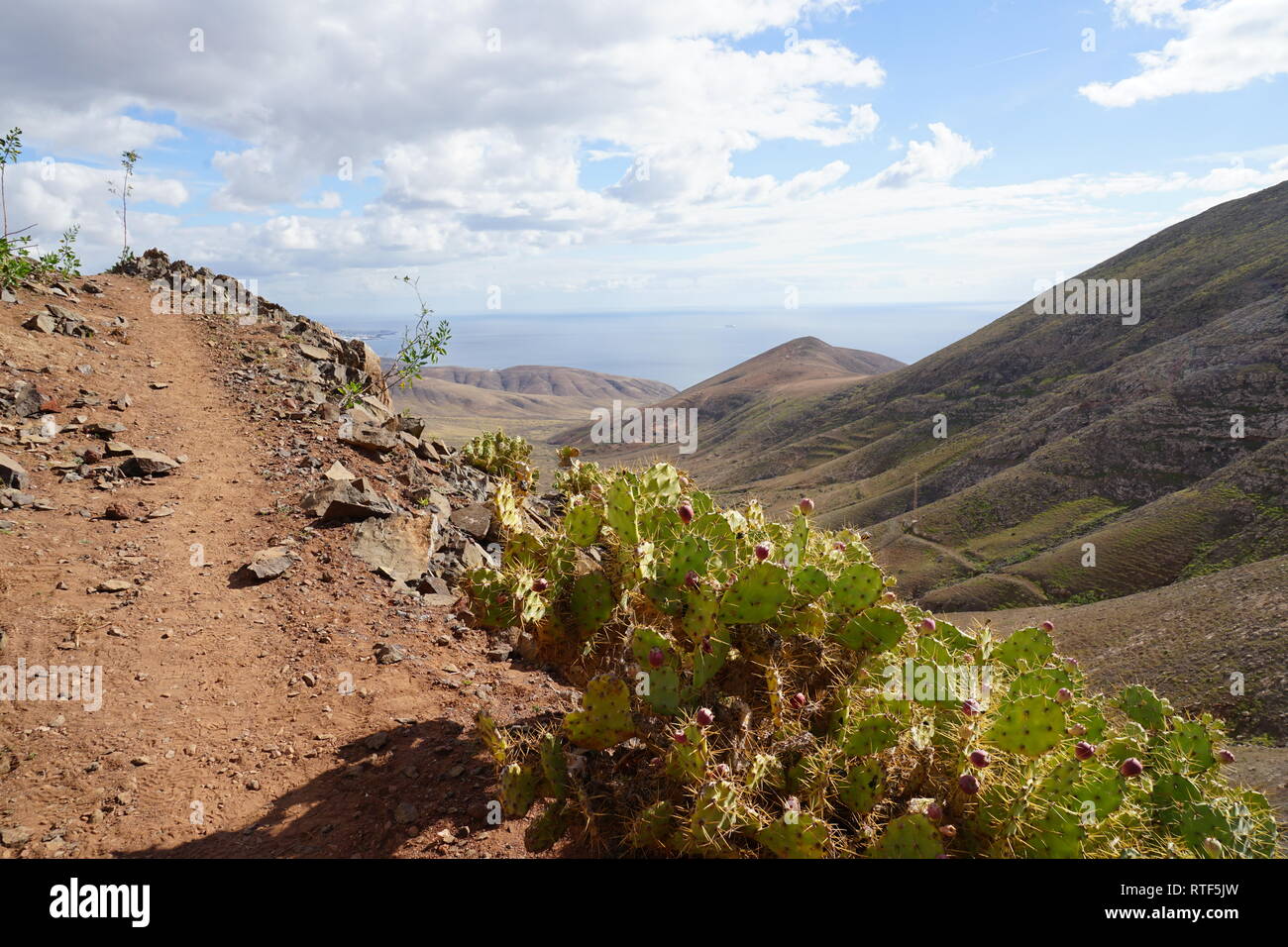 Wanderweg am Atalaya de Femes, Lanzarote, Kanarische Inseln Stock Photo