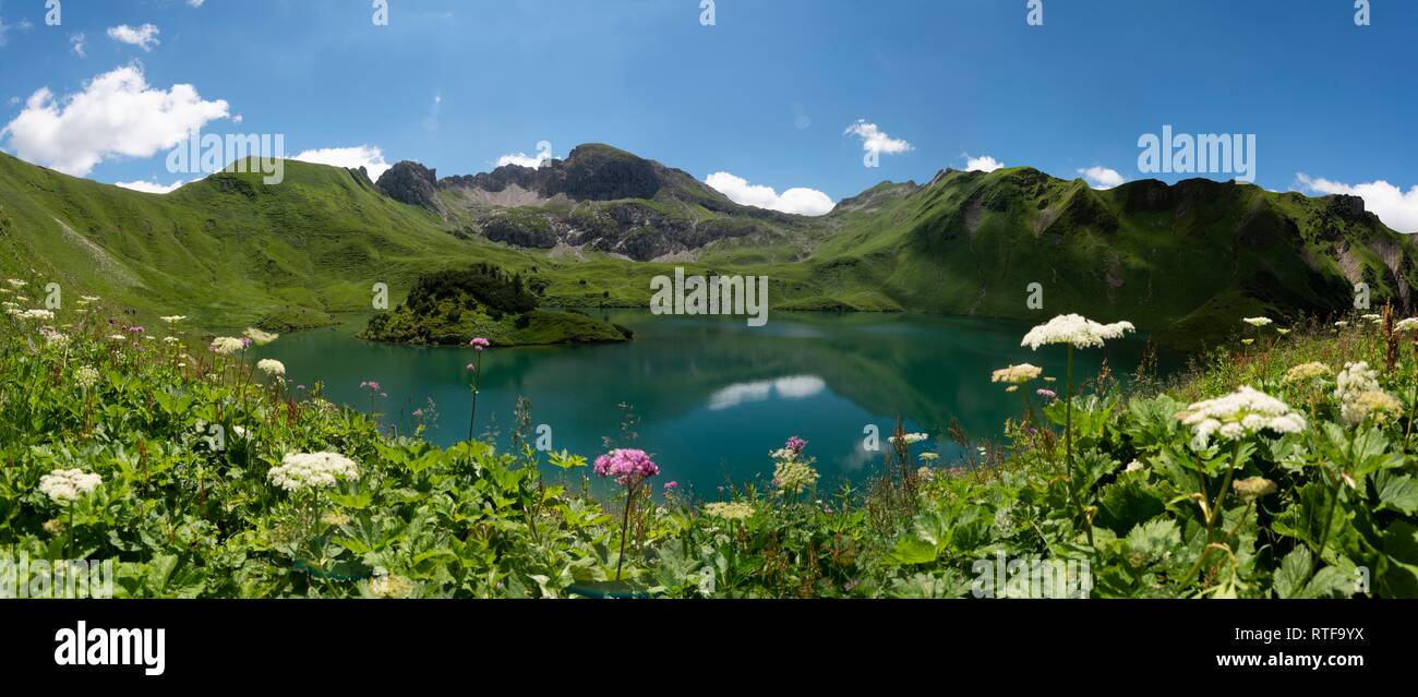 Lake Schrecksee with Allgäu mountains, flower meadow in front, panorama, Allgäu Alps, Allgäu, Bavaria, Germany Stock Photo