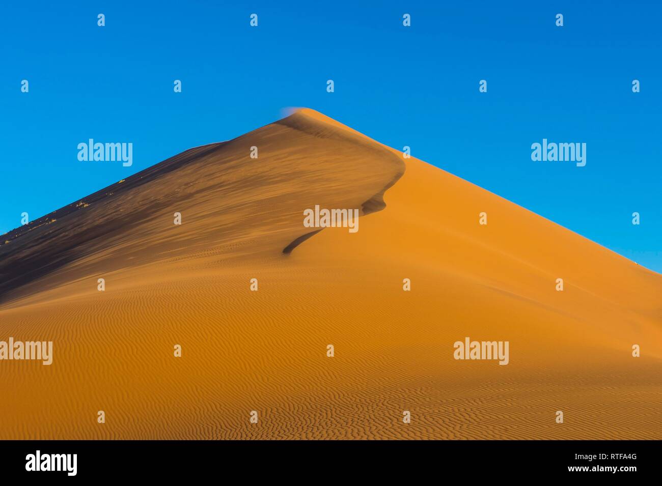 Giant sand Dune 45, Namib-Naukluft National Park, Namibia Stock Photo