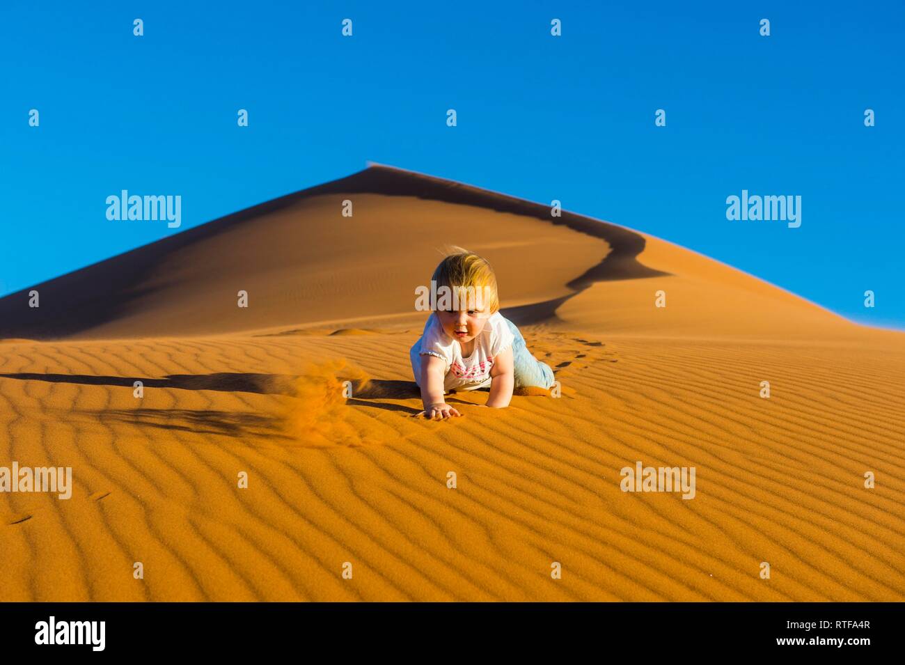 Baby crawling down in the sand, sanddune Dune 45, Namib-Naukluft National Park, Namibia Stock Photo