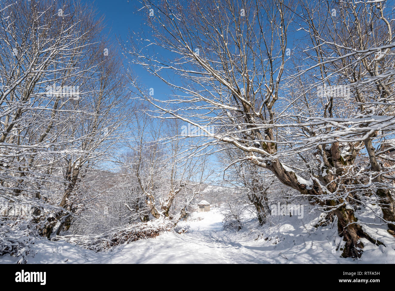 Beautiful snow covered garden hi-res stock photography and images - Alamy