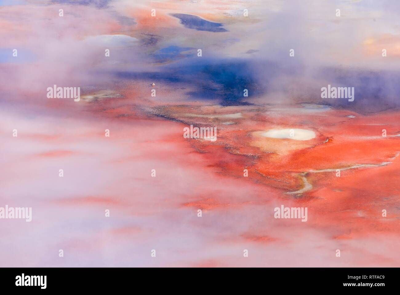 Abstract detail, hot springs, colorful mineral deposits in Porcelain Basin, Noris Geyser Basin, Yellowstone National Park Stock Photo