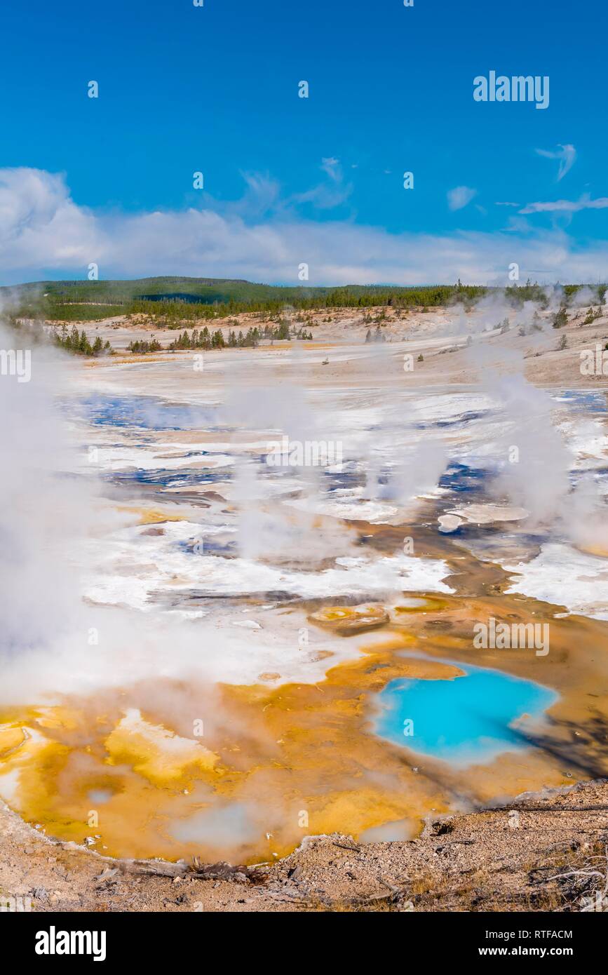 Steaming geysers, hot springs, colorful mineral deposits in the Porcelain Basin, Noris Geyser Basin, Yellowstone National Park Stock Photo