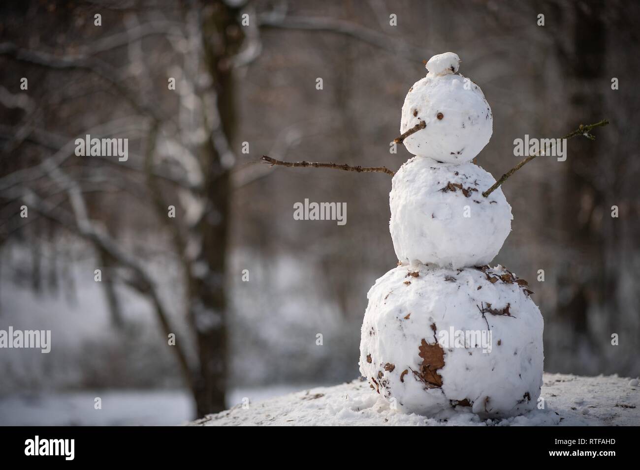 Snowman, Baden-Württemberg, Germany Stock Photo