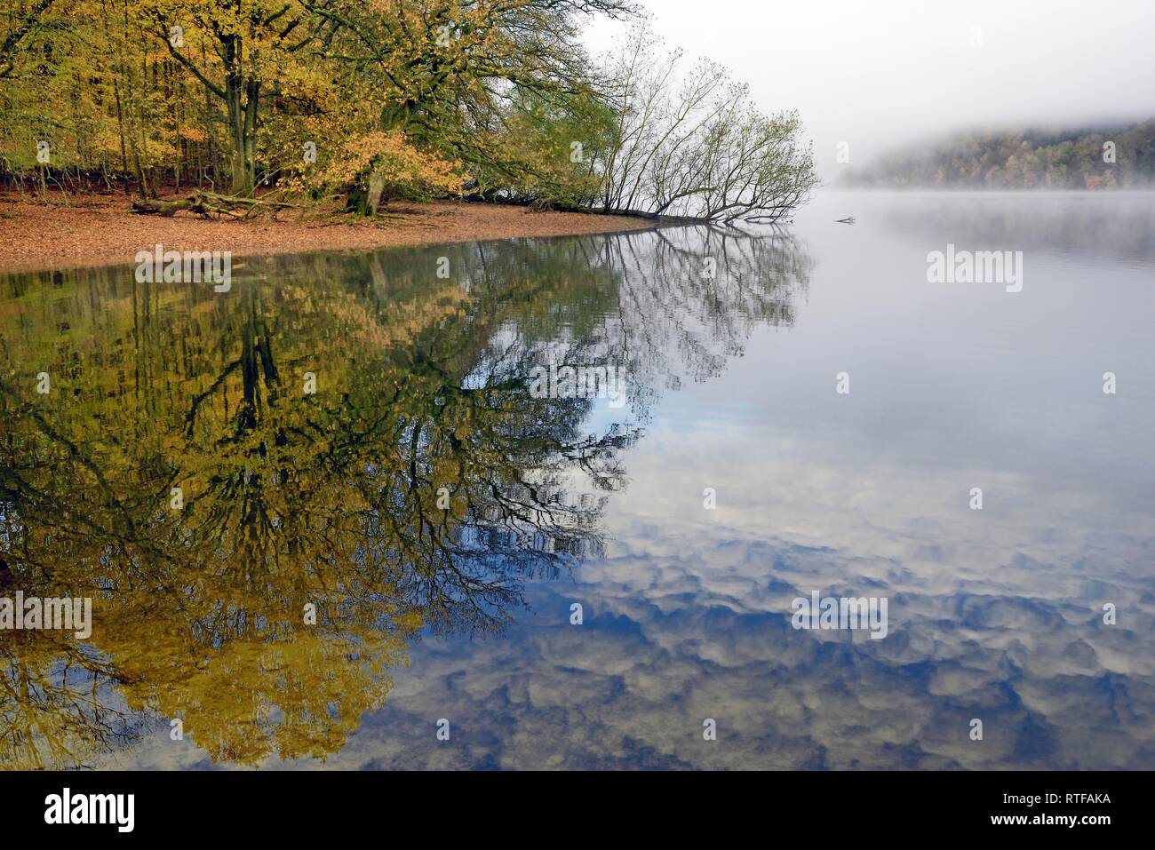 Autumn atmosphere with early fog at Lake Möhnesee, water reflection, North Rhine-Westphalia, Germany Stock Photo