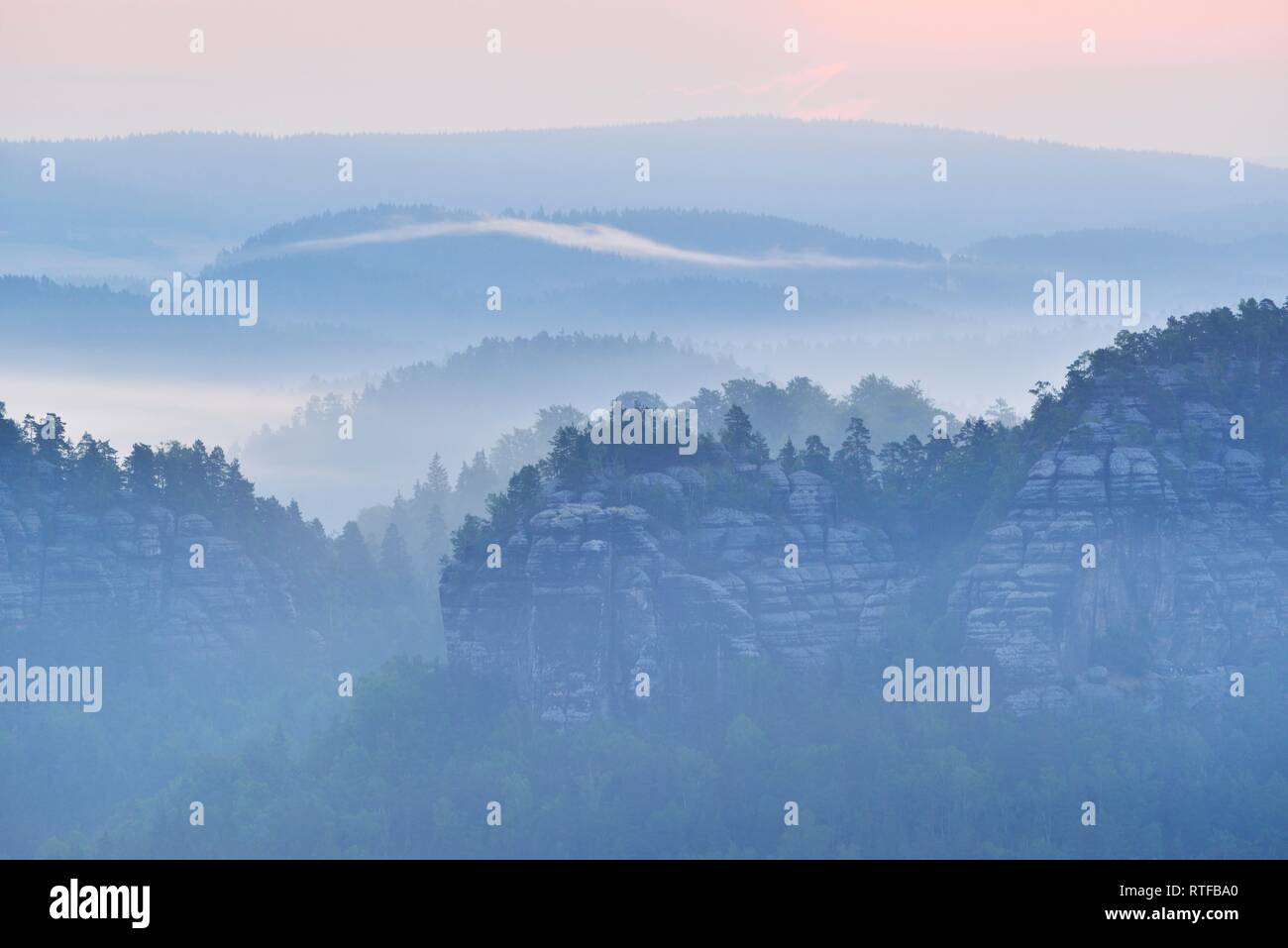 Rocky landscape in the morning fog, Elbe sandstone mountains, Saxony, Germany Stock Photo