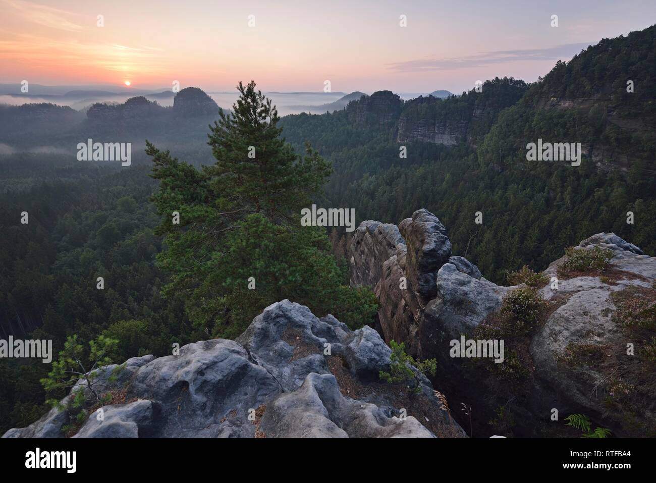 Rocky landscape in the morning fog, view from the bear catching walls, Elbe sandstone mountains, Saxony, Germany Stock Photo
