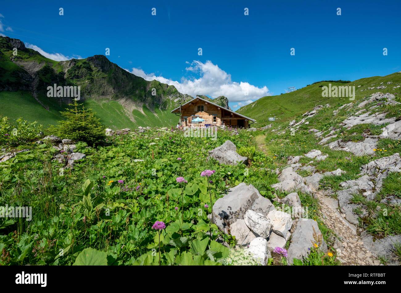 Alm am Schrecksee, Allgäu Alps, Allgäu, Bavaria, Germany Stock Photo