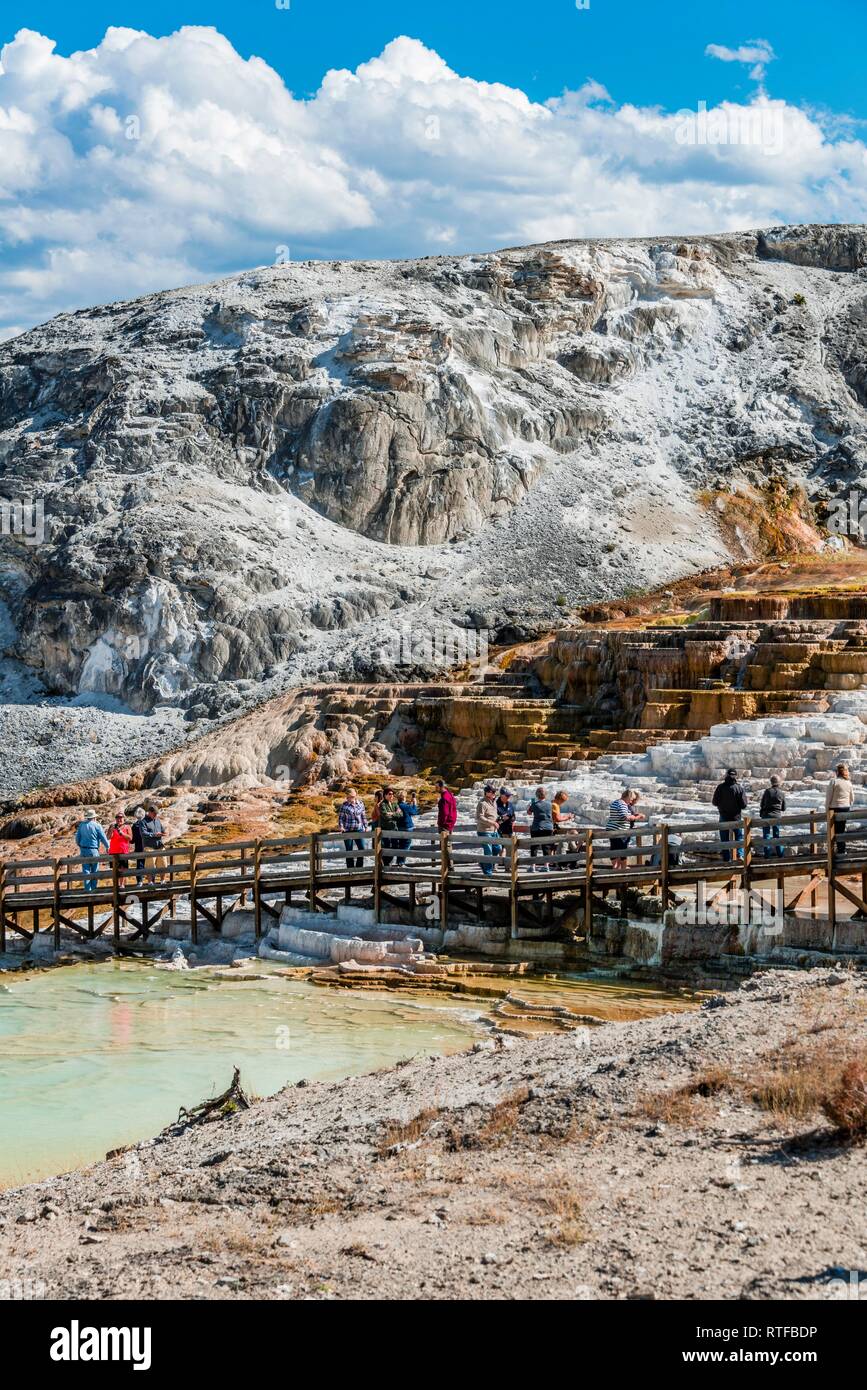 Tourists at Sinter Terraces, Hot Springs, Mineral Deposits, Palette Springs, Lower Terraces, Mammoth Hot Springs Stock Photo