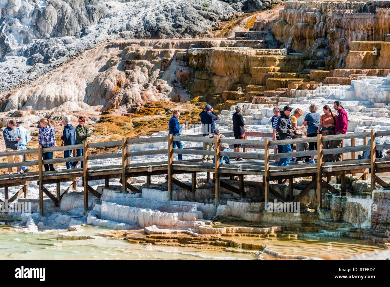Tourists at Sinter Terraces, Hot Springs, Mineral Deposits, Palette Springs, Lower Terraces, Mammoth Hot Springs Stock Photo
