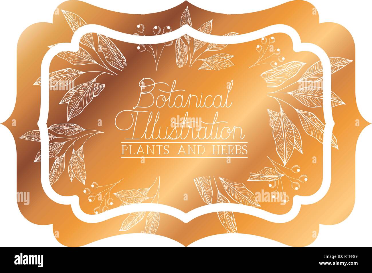 botanical illustration label with plants and herbs vector illustration ...