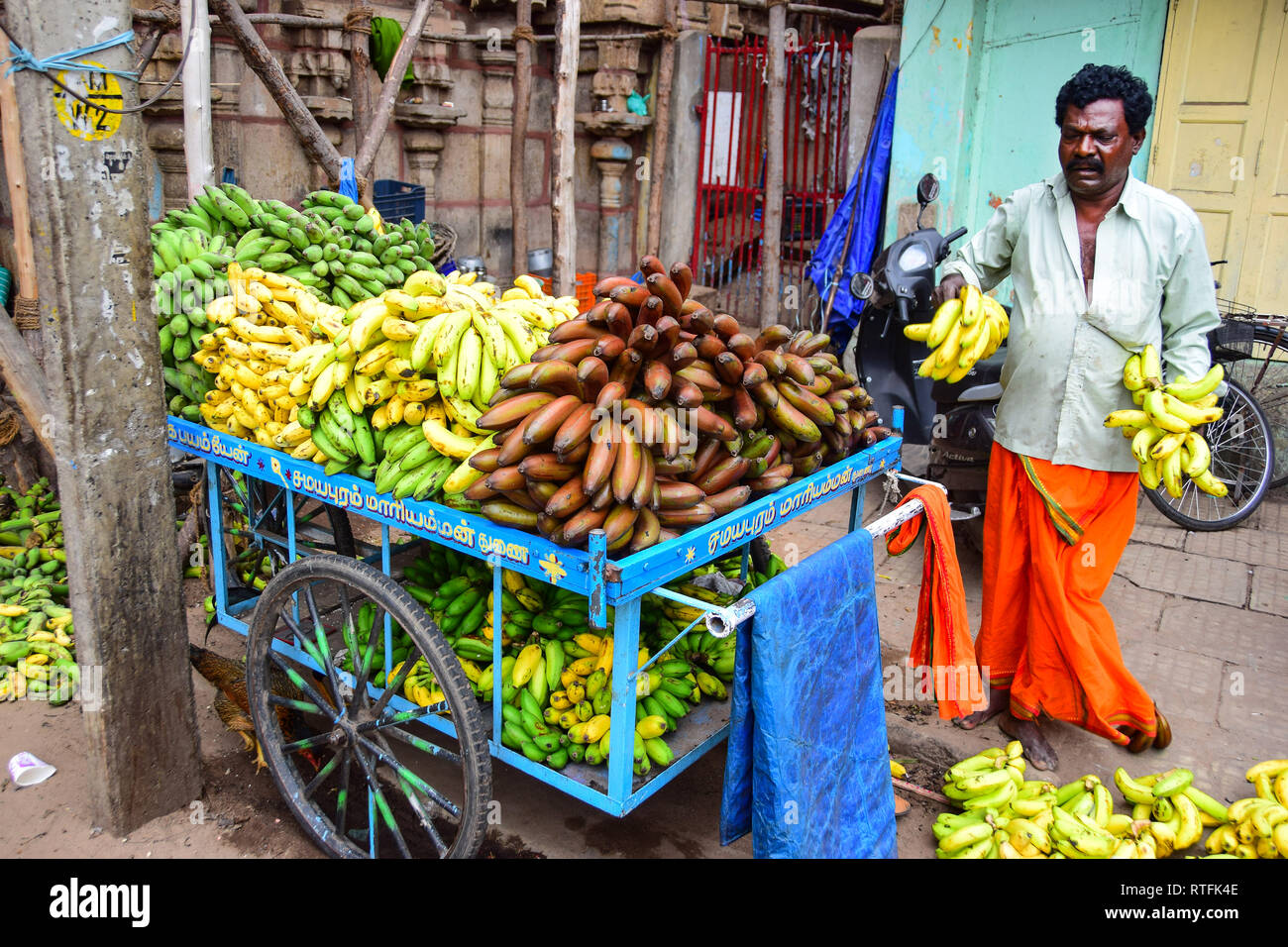 Banana Fruit Seller, Trichy, Tiruchirappalli, Tamil Nadu, India Stock