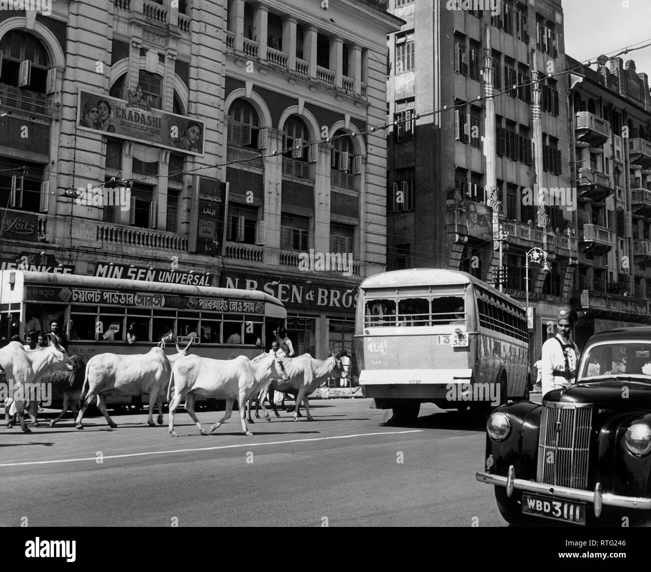 Photo Vintage Inde - Calcutta (Kolkata) - Rue Du Temple Avec éléphant - 1940 #1132