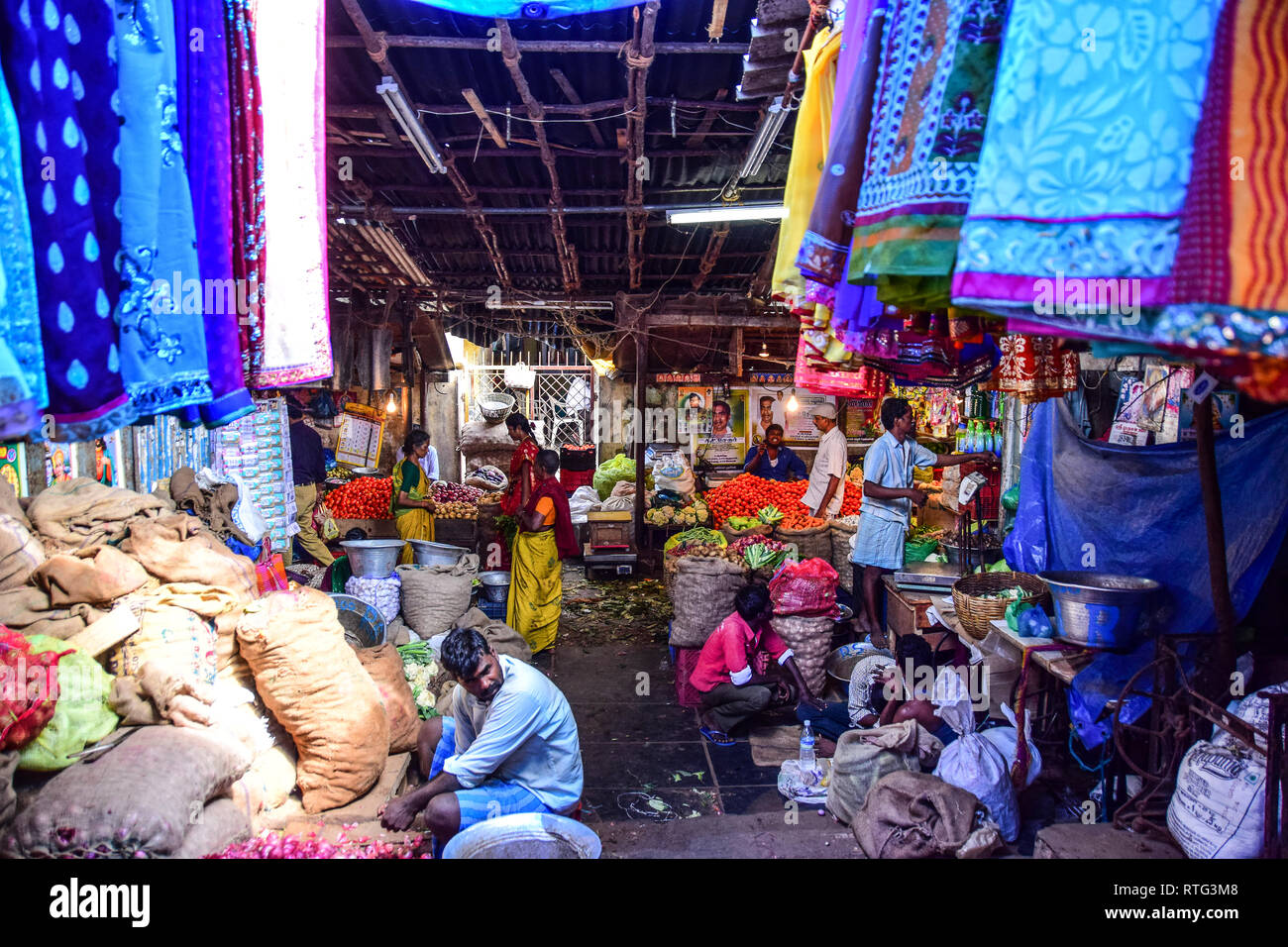 Fish Market, Goubert Market, Pondicherry, Puducherry, Tamil Nadu, India Stock Photo