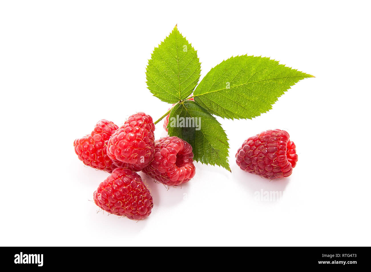 Close up view of fresh raspberries fruits with green leaf of raspberry ...