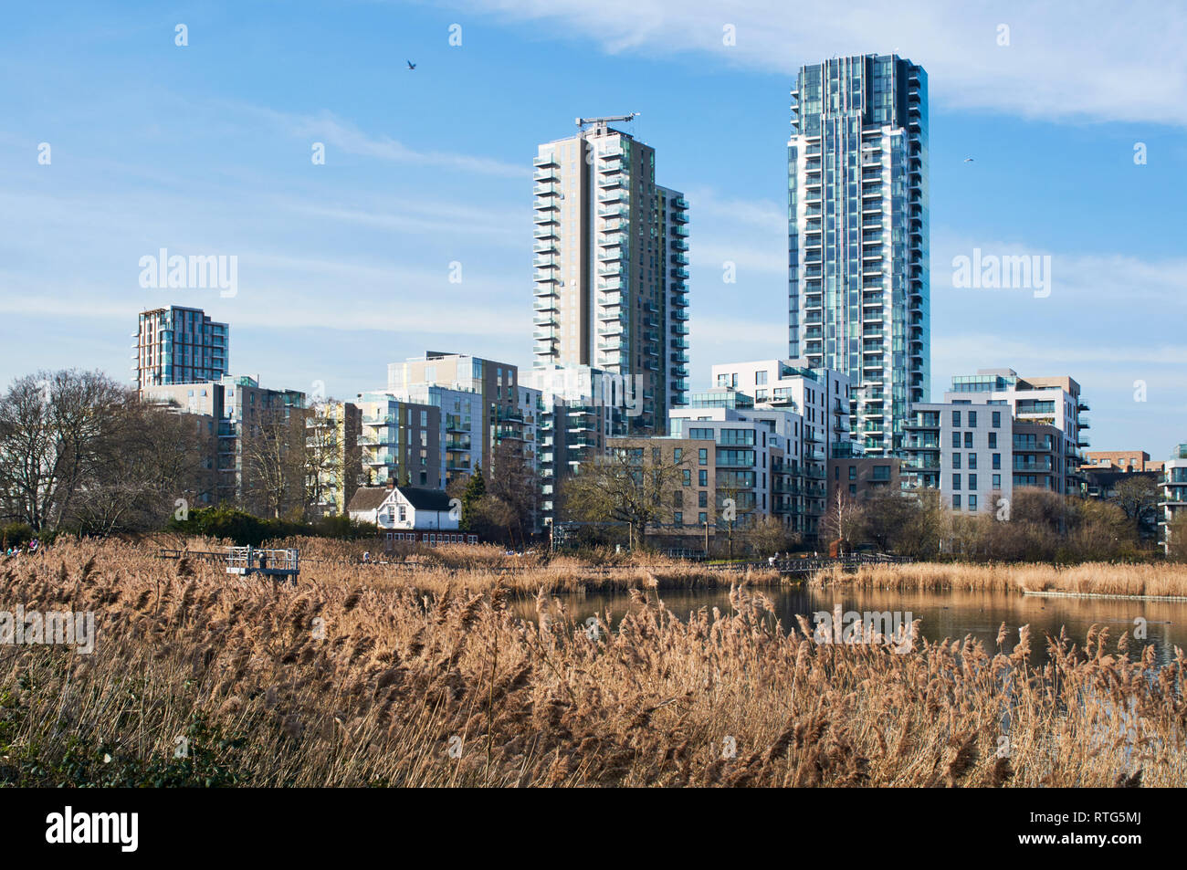 The new Skyline Apartments viewed from Woodberry Wetlands nature