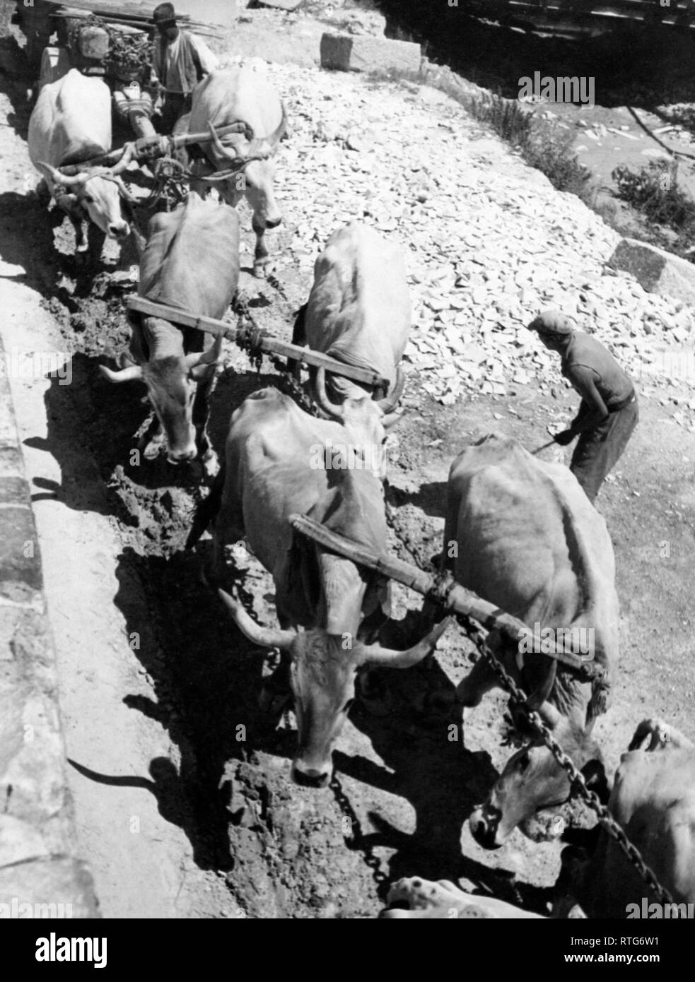 italy, tuscany, carrara, work in a marble quarry, 1930-40 Stock Photo