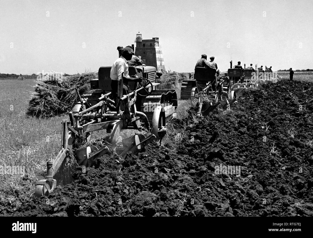 harvest, tavoliere delle puglie, 1961 Stock Photo
