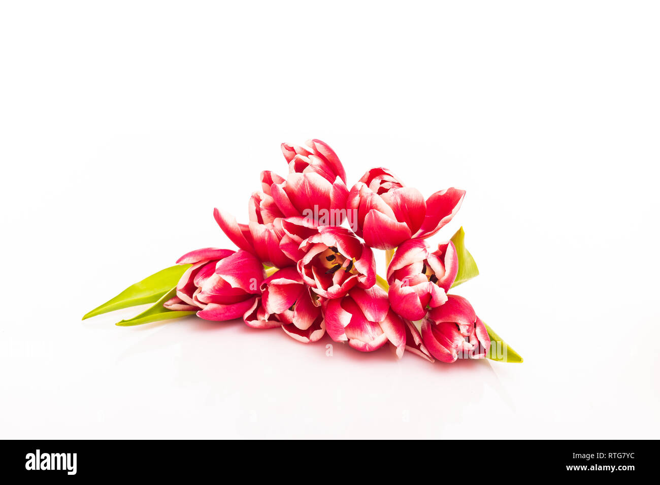 Fresh colorful tulip flowers bouquet. Isolated on white background ...