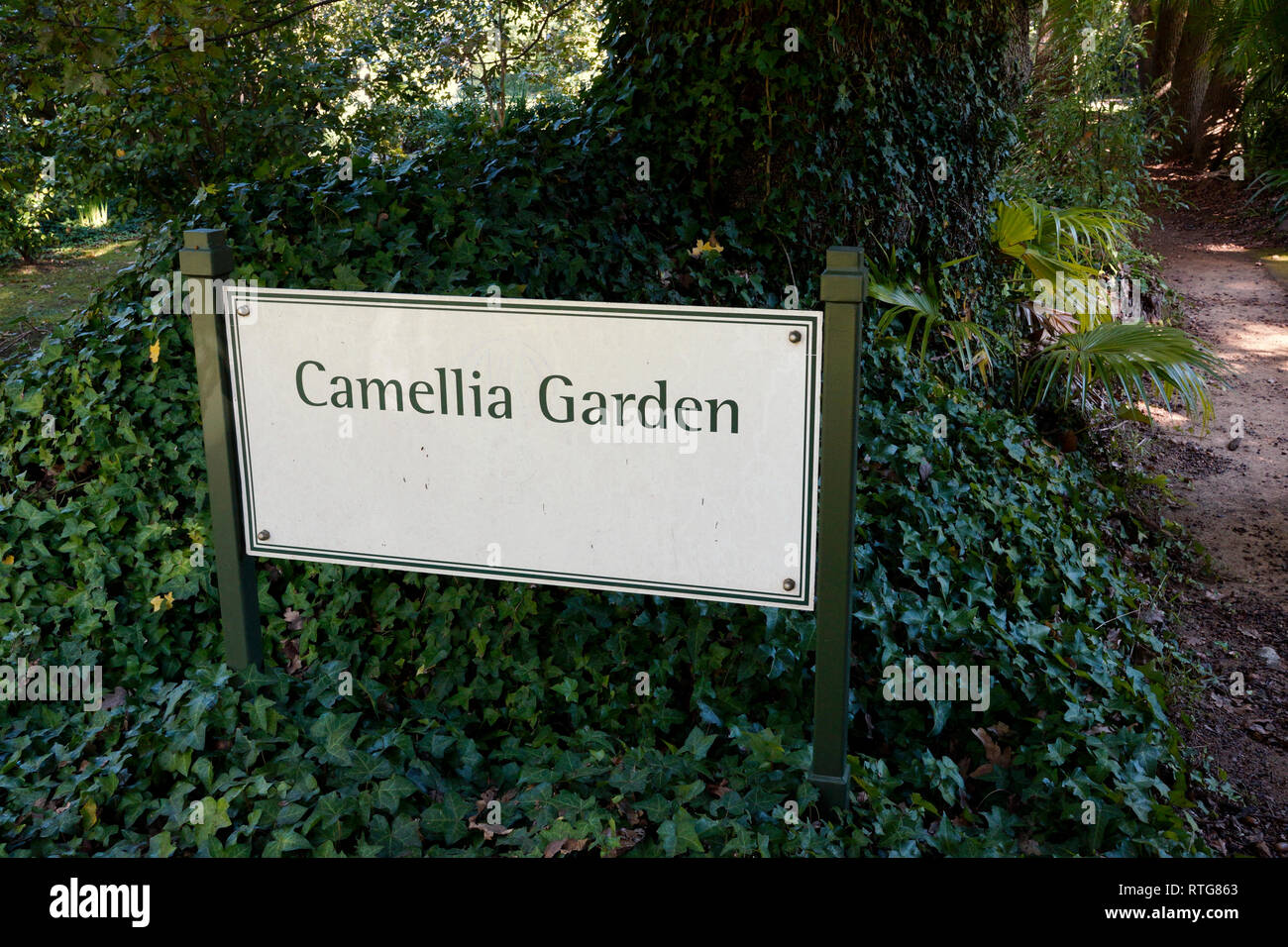 Camellia Garden at the Vergelegen Estate in Somerset West, South Africa . Stock Photo