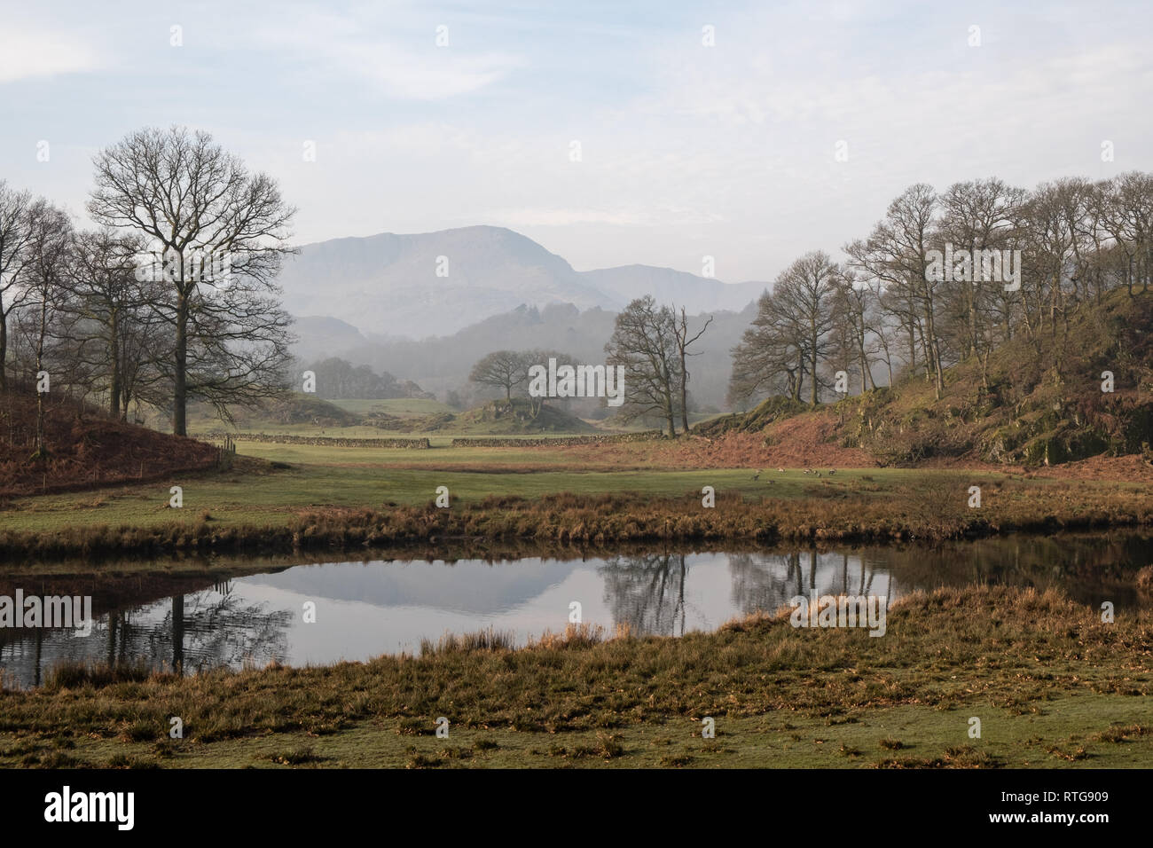 Wetherlam seen between trees over the River Brathay, between Elterwater and Skelwith Bridge, Lake District, UK Stock Photo