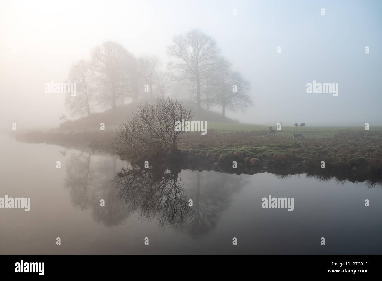 Misty morning on the River Brathay, Elterwater, Lake District, UK Stock Photo