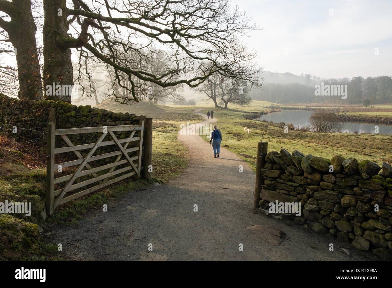 People and dogs seen through an open gate on the path between Elterwater and Skelwith Bridge, Lake District, UK Stock Photo