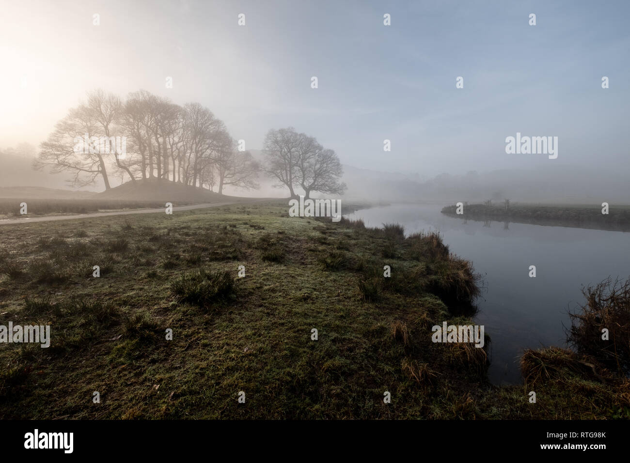 Early morning mist hanging over a group of trees and the River Brathay between Elterwater and Skelwith Bridge (wide angle), Lake District, UK Stock Photo