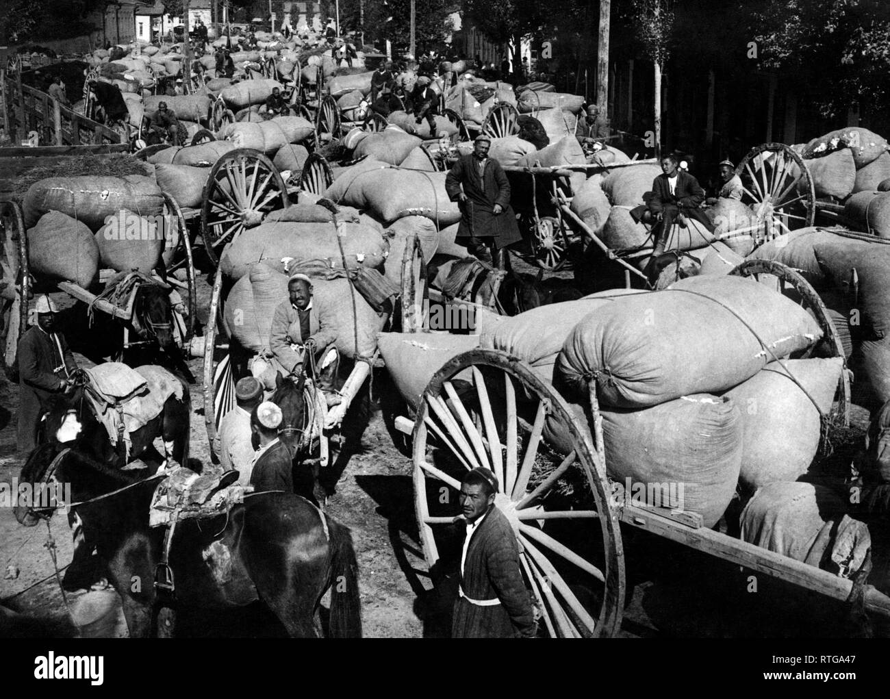 caravan to transport the cotton in Turkestan, 1920-30 Stock Photo