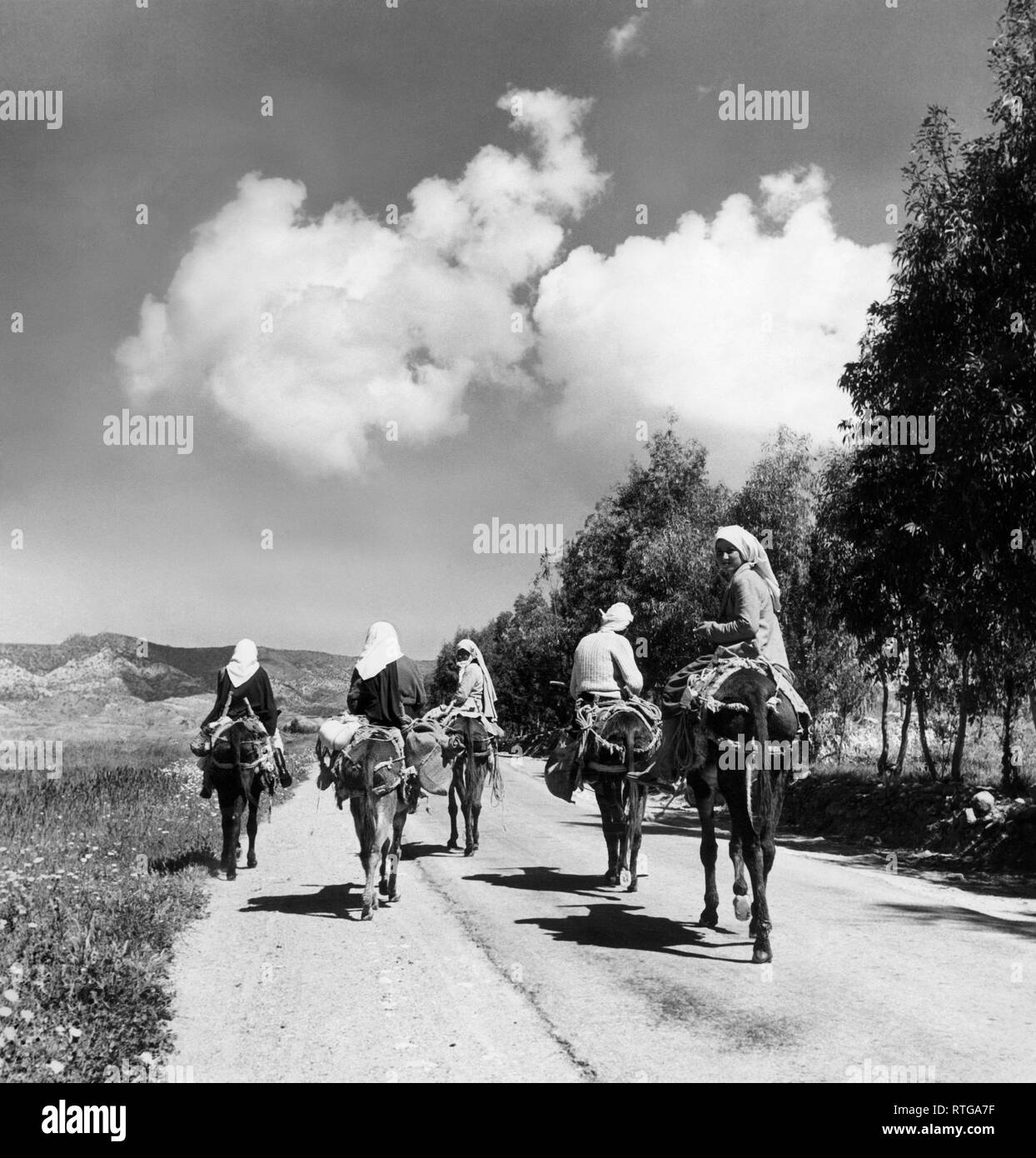 Cyprus, a country road, 1956 Stock Photo