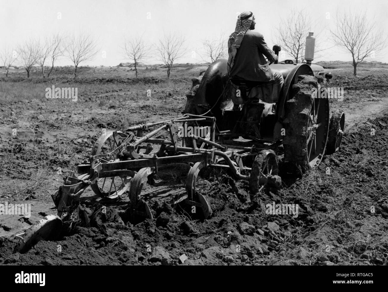 Middle East, a fellah driving a tractor 1957 Stock Photo