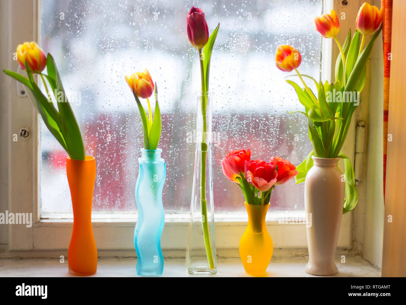 Vase With Tulips Several Vases With Tulips Bright Spring Card
