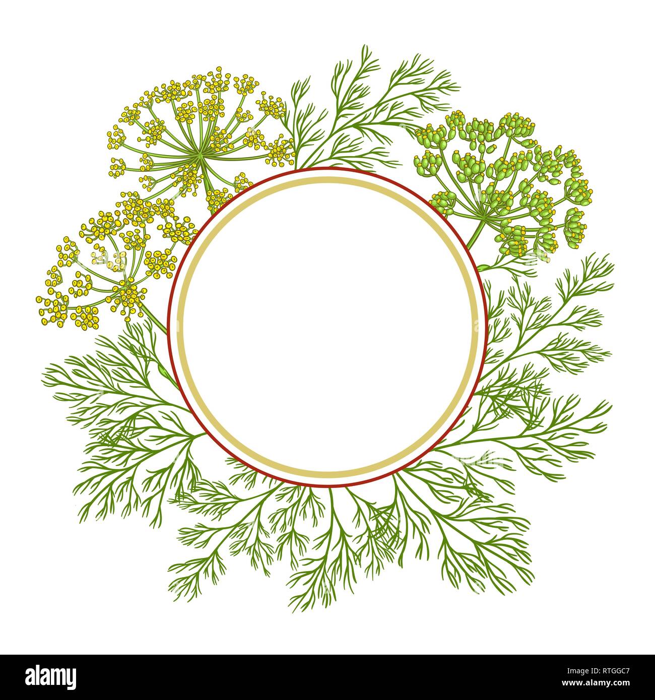 dill vector frame on white background Stock Vector Image & Art - Alamy