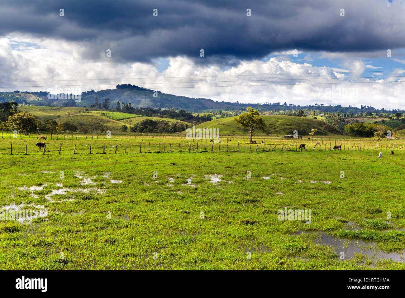 Farm field, Huila Department, Colombia Stock Photo