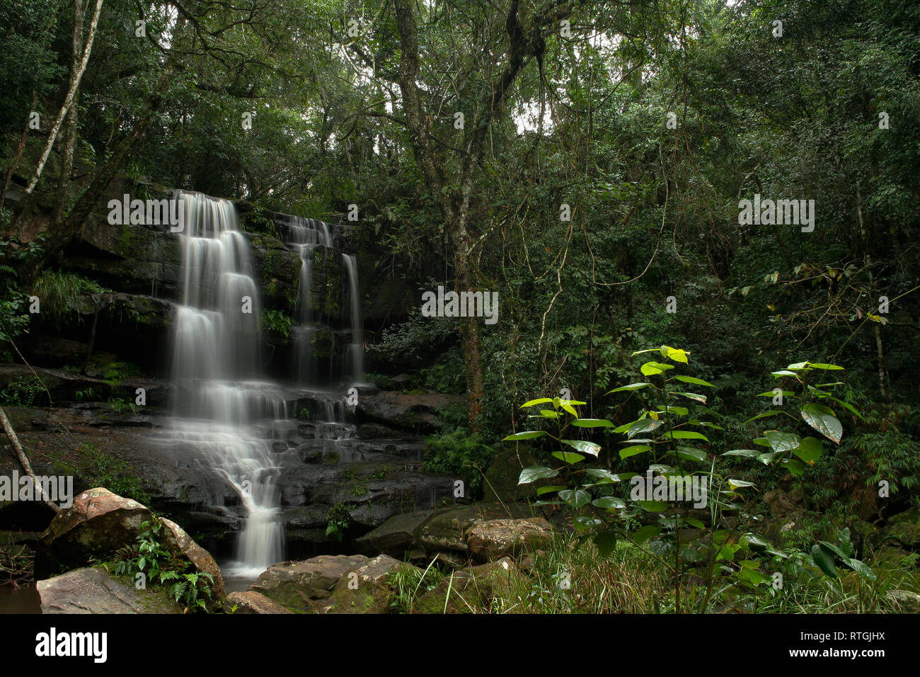 Salto Guarani cascading waterfalls secluded in a rainforest, surrounded