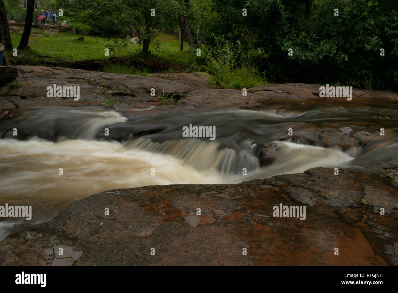 Arroyo (Stream) Mina cascading waterfalls in a rainforest, surrounded